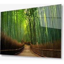 Kırmızı Ayı Doğa Cam Tablo