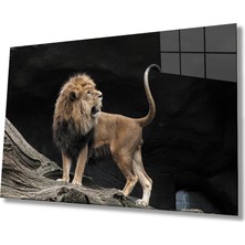 Kırmızı Ayı Aslan Cam Tablo