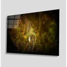 Kırmızı Ayı Örümcek Ağı