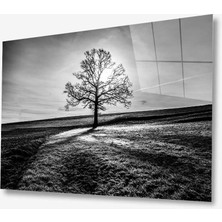 Kırmızı Ayı Doğa Cam Tablo