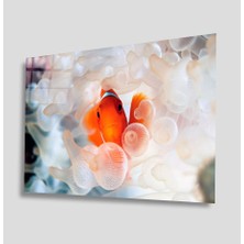 Kırmızı Ayı Sualtı Cam Tablo