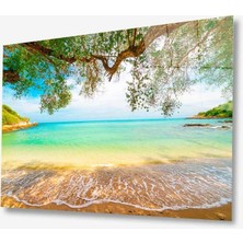 Kırmızı Ayı Doğa Cam Tablo