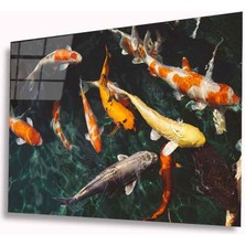 Kırmızı Ayı Balıklar Cam Tablo