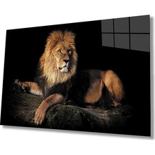 Kırmızı Ayı Aslan Cam Tablo