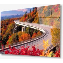 Kırmızı Ayı Doğa Cam Tablo