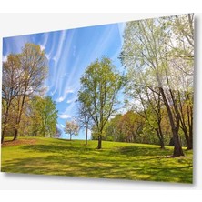 Kırmızı Ayı Doğa Cam Tablo