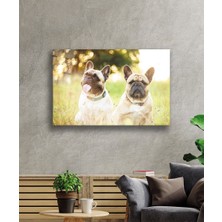 Kırmızı Ayı Köpekler Cam Tablo