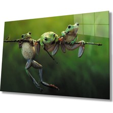 Kırmızı Ayı Yeşil Kurbağa Greenback