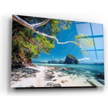 Kırmızı Ayı Manzara Cam Tablo