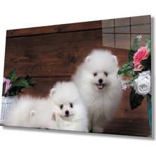 Kırmızı Ayı Köpekler Cam Tablo