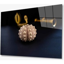 Kırmızı Ayı Eşya Cam Tablo