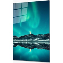 Kırmızı Ayı Doğa Cam Tablo