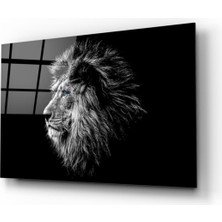 Kırmızı Ayı Aslan Cam Tablo