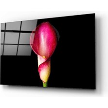 Kırmızı Ayı Çiçek Cam Tablo