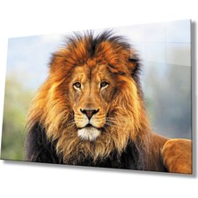 Kırmızı Ayı Aslan Cam Tablo