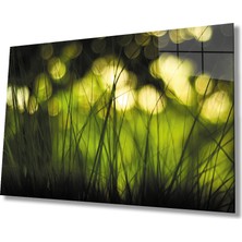 Kırmızı Ayı Yeşil Işık Görselli Cam Tablo   Yeşil Işık Görselli