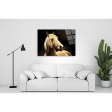 Kırmızı Ayı At Cam Tablo