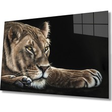 Kırmızı Ayı Aslan Cam Tablo