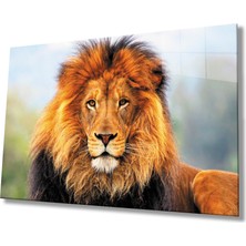 Kırmızı Ayı Aslan Cam Tablo