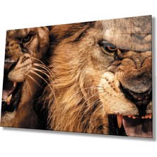 Kırmızı Ayı Aslan Cam Tablo