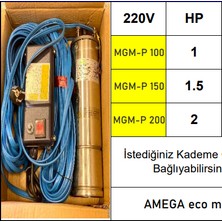 Amega Mgm-P 200 2 Hp 220V 25 Mt. Kablolu & Panolu Bronz Yağ Çemberli Dalgıç Pompa Motoru