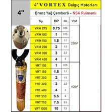 Vortex Vrt 300 3 Hp 380V Bronz Yağ Çemberli Nsk Rulmanlı 4" Dalgıç Pompa Motor