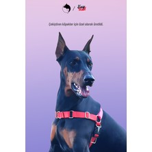 Wikipet Aztec Easy Walk Önden Çekmeli Göğüs Tasması