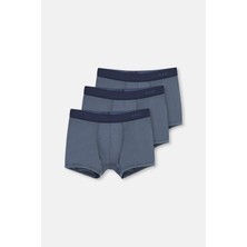 Dagi İndigo D4210 Boxer 3'lü Erkekler İçin Nefes Alabilir Konfor ve Stil Sunan Ürün