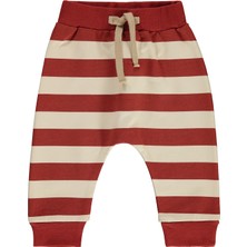 Civil Baby Erkek Bebek Patiksiz Tek Alt 6-18 Ay Kiremit