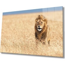 Kırmızı Ayı Aslan Cam Tablo