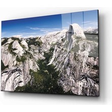 Kırmızı Ayı Doğa Tablo