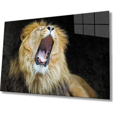 Kırmızı Ayı Aslan Cam Tablo