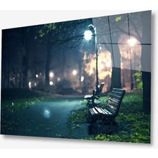 Kırmızı Ayı Doğa Cam Tablo