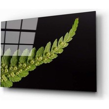 Kırmızı Ayı Yaprak Cam Tablo