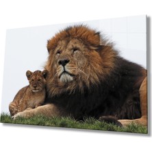 Kırmızı Ayı Aslan Cam Tablo