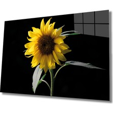 Kırmızı Ayı Ayçiçeği Cam Tablo  ,