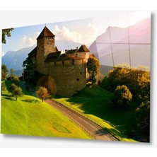 Kırmızı Ayı Cam Tablo