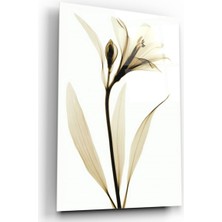 Kırmızı Ayı Çiçek Cam Tablo