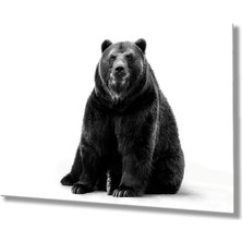 Kırmızı Ayı Ayı Hayvan  Sevgililer Günü Cam Tablo