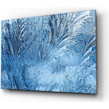 Kırmızı Ayı Buz Cam Tablo