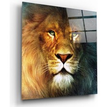 Kırmızı Ayı Aslan Cam Tablo