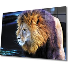 Kırmızı Ayı Aslan Cam Tablo