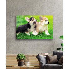 Kırmızı Ayı Köpekler Cam Tablo