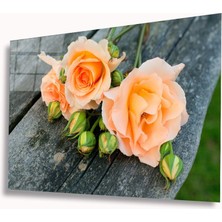 Kırmızı Ayı Güller Cam Tablo