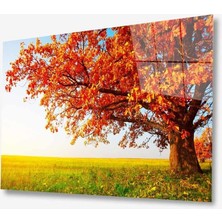 Kırmızı Ayı Doğa Cam Tablo