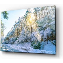 Kırmızı Ayı Doğa Cam Tablo