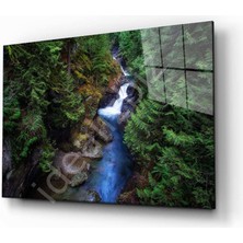 Kırmızı Ayı Doğa Cam Tablo