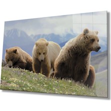 Kırmızı Ayı Ayı Hayvan Sevgililer Günü Cam Tablo