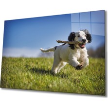 Kırmızı Ayı Köpek  Cam Tablo