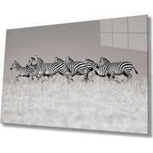 Kırmızı Ayı Zebra Cam Tablo